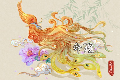 择吉老黄历皇历|老皇历查询|老皇历万年历